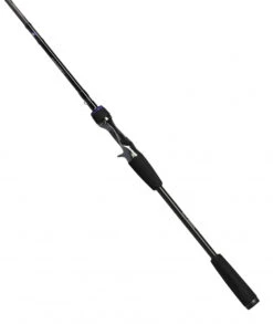 Daiwa Prorex AGS Baitcast -Pro Vissersaas 210912r 2