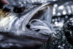 Quantum 4Street Chatter -Pro Vissersaas 22 3139104r 4