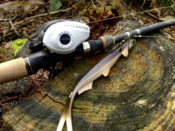 Quantum Accurist Baitcast AT101 HPT -Pro Vissersaas 22 570101 6