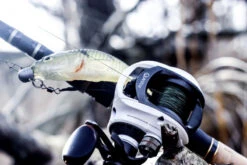 Quantum Accurist Baitcast AT101 HPT -Pro Vissersaas 22 570101 7