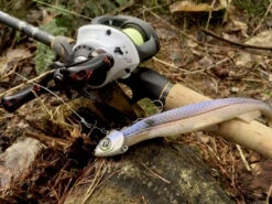 Quantum Accurist Baitcast AT101 HPT -Pro Vissersaas 22 570101 8