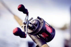 Quantum Nova 351 -Pro Vissersaas 22 690351 8