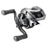 Daiwa 21 Steez Limited SV TW