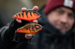 Daiwa PX Lazy Jerk Distance -Pro Vissersaas 32 217457r 3