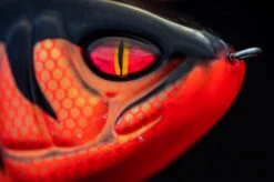 Daiwa PX Lazy Jerk Distance -Pro Vissersaas 32 217457r 4