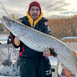 Daiwa PX Lazy Shad -Pro Vissersaas 32 217472r 3