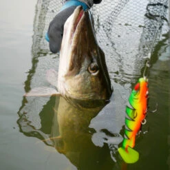 Daiwa PX Lazy Shad -Pro Vissersaas 32 217472r 5