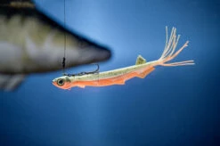 Quantum Pelagic Shad Set Hairy 21cm, 60g -Pro Vissersaas 3461007r 3