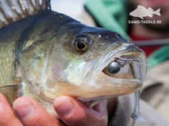 Keitech Easy Shiner -Pro Vissersaas 58440BOWEr 4