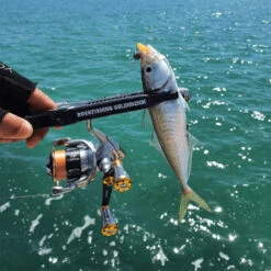 Gomexus 20mm CNC Aluminium Power Knob -Pro Vissersaas A20TNGDr 3