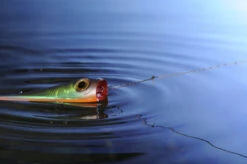 Knot 2 Kinky 1x1 Titanium 4,5m -Pro Vissersaas AQ NT00815Cr 6