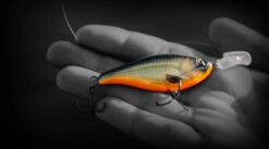 Headbanger Cranky Shad -Pro Vissersaas CS 25 SS BKr 8