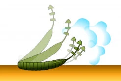 Deps Bull Flat 3.8'' -Pro Vissersaas D BF38 18r 6