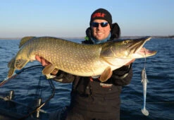 Eastfield Wingman 21cm, 80g -Pro Vissersaas EFLW001r 4