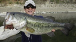 Fish Arrow Flash J Shad -Pro Vissersaas FA 4562178061659r 4