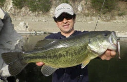 Fish Arrow Flash J Shad -Pro Vissersaas FA 4562178061659r 5