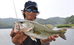 Fish Arrow Flash J Split -Pro Vissersaas FA 4562178063738r 3