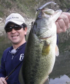 Fish Arrow J Buzz -Pro Vissersaas FA 4562178065039r 4