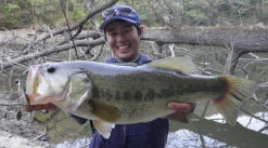 Fish Arrow J Buzz -Pro Vissersaas FA 4562178065039r 5