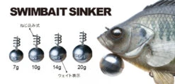 Fish Arrow Swimbait Sinker (2pcs) -Pro Vissersaas FA 4573251341209r 2