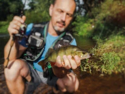 Perch Professor Fluky Shad 5,5cm (6pcs) -Pro Vissersaas FS556P Or 3