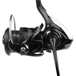Daiwa Fuego Prorex XR Perch Combo -Pro Vissersaas FUEGOXRSET 8