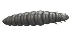 Libra Lures Larva 30 Krill -Pro Vissersaas L30K15P 006r 3