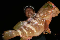 Megabass Rock Hog -Pro Vissersaas MB 00000046364r 3