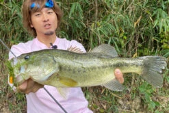 Megabass Vibration-X Dyna (Rattle In) -Pro Vissersaas MB VXDR 4513473465505r 3