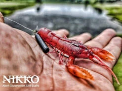 Nikko Craw 8,1cm (5pcs) -Pro Vissersaas NIKKO431r 3