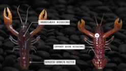 Nikko Craw 8,1cm (5pcs) -Pro Vissersaas NIKKO431r 5