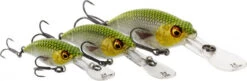 Westin BuzzBite Crankbait Suspending -Pro Vissersaas P145 023 001r 3