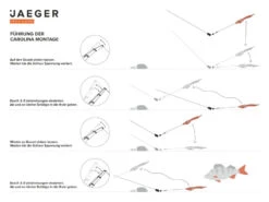 Jaeger Carolina Rig -Pro Vissersaas PRC CAR 1 5