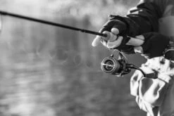 Shimano Stella FK -Pro Vissersaas STL1000FKr 5