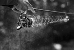 Shimano Stella FK -Pro Vissersaas STL1000FKr 6