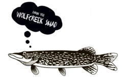 Wolfcreek Shad 2.0 25cm, 120g -Pro Vissersaas WCL SHAD25r 7