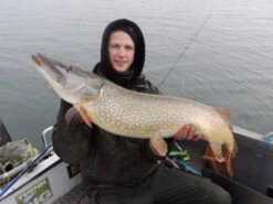 SvartZonker Big McRubber V2 - (2 Pack) -Pro Vissersaas bigmcrubberv2 2pr 12