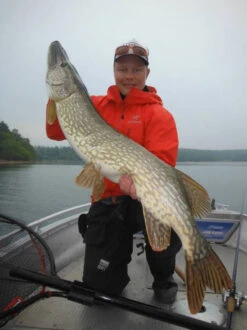 SvartZonker Big McRubber V2 - (2 Pack) -Pro Vissersaas bigmcrubberv2 2pr 3