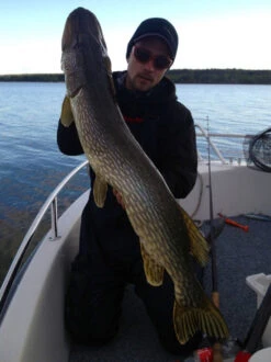 SvartZonker Big McRubber V2 - (2 Pack) -Pro Vissersaas bigmcrubberv2 2pr 5