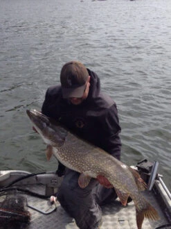 SvartZonker Big McRubber V2 - (2 Pack) -Pro Vissersaas bigmcrubberv2 2pr 7