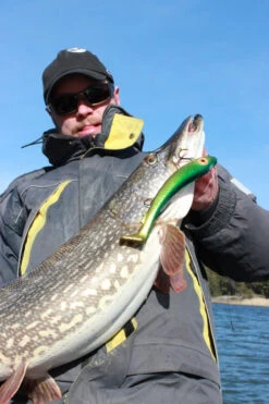 SvartZonker Big McRubber V2 - (2 Pack) -Pro Vissersaas bigmcrubberv2 2pr 8