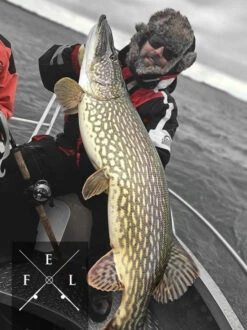 Eastfield Wingman Curly 23cm, 77g -Pro Vissersaas wingman curlr 3